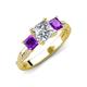 3 - Michele 2.36 ctw (6.50 mm) IGI Certified 3 Stone Princess Cut Lab Grown Diamond (VS1/F) and Amethyst Twisted Vine Engagement Ring 
