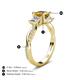 5 - Michele 1.60 ctw (5.50 mm) 3 Stone Princess Cut Citrine and Lab Grown Diamond Twisted Vine Engagement Ring 