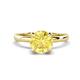 1 - Abena 1.01 ctw Yellow Sapphire (6.00 mm) with Prong Studded Side Natural Diamond Solitaire Plus Engagement Ring 