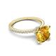 6 - Aisha 2.25 Ctw (8.00 mm) Round Citrine with side Lab Grown Diamond Hidden Halo Engagement ring