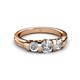 6 - Raea 1.10 ctw Natural Diamond (5.00 mm) Women Three Stone Ring  