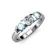 2 - Raea 1.13 ctw Natural Diamond (5.00 mm) With Aquamarine Three Stone Ring  