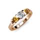 2 - Raea 1.13 ctw Natural Diamond (5.00 mm) With Citrine Three Stone Ring  