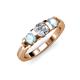 2 - Raea 1.13 ctw Natural Diamond (5.00 mm) With Aquamarine Three Stone Ring  