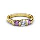 3 - Raea 1.13 ctw Natural Diamond (5.00 mm) With Amethyst Three Stone Ring  