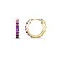 1 - Nico 0.22 ctw Amethyst Small Huggie Earrings 