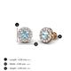 4 - Bernice Aquamarine and Diamond Stud Earrings 