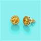 3 - Bernice 0.71 ctw Round Citrine Halo Stud Earrings 