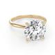 5 - Elodie 4.00 ct IGI Certified Round Lab Grown Diamond Solitaire Engagement Ring 
