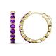 1 - Anna 2.40 ctw Amethyst (3.50 mm) Hoop Earrings 