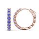 1 - Anna 2.56 ctw Tanzanite (3.50 mm) Hoop Earrings 