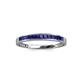 3 - Aqilia 2.00 mm Princess Cut Blue Sapphire 13 Stone Wedding Band 