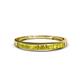 1 - Aqilia 2.00 mm Princess Cut Yellow Diamond 13 Stone Wedding Band 