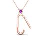 2 - Fahari Amethyst Accent Paperclip Charm Holder Pendant Necklace 