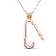2 - Fahari Citrine Accent Paperclip Charm Holder Pendant Necklace 