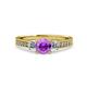 3 - Dzeni Amethyst and Lab Grown Diamond Three Stone with Side Lab Grown Diamond Ring  