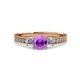 3 - Dzeni Amethyst and Diamond Three Stone with Side Diamond Ring  