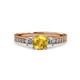 3 - Dzeni Citrine and Diamond Three Stone with Side Diamond Ring  