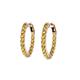 2 - Carisa 0.51 ctw (1.70 mm) Inside Outside Round Citrine Eternity Hoop Earrings 