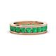 1 - Celina 3.40 mm Round Emerald Eternity Band 