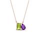 1 - Arika 1.10 ctw Emerald Shape Peridot with Pear Shape Amethyst Toi Et Moi Women Pendant Necklace 