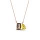 1 - Arika 1.00 ctw Emerald Shape Smoky Quartz with Pear Shape Created Yellow Sapphire Toi Et Moi Women Pendant Necklace 