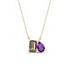 1 - Arika 0.95 ctw Emerald Shape Smoky Quartz with Pear Shape Amethyst Toi Et Moi Women Pendant Necklace 