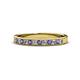 1 - Janice 2.00 mm Iolite and Lab Grown Diamond 13 Stone Wedding Band 