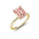 4 - Solina 2.39 ctw Emerald Shape Morganite accented Lab Grown Diamond Hidden Halo Engagement Ring 