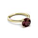 3 - Solina 2.39 ctw Round Red Garnet accented Lab Grown Diamond Hidden Halo Engagement Ring 