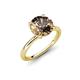 4 - Solina 1.93 ctw Round Smoky Quartz accented Lab Grown Diamond Hidden Halo Engagement Ring 