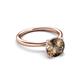 3 - Solina 1.93 ctw Round Smoky Quartz accented Lab Grown Diamond Hidden Halo Engagement Ring 