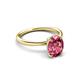 3 - Solina 1.76 ctw Oval Shape Pink Tourmaline accented Lab Grown Diamond Hidden Halo Engagement Ring 