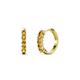 1 - Aricia Petite 0.22 ctw Citrine Women Hoop Earrings 