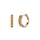 1 - Aricia Petite 0.22 ctw Citrine Women Hoop Earrings 