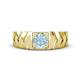 1 - Darius 0.87 ct Aquamarine V Pattern Solitaire Men Band (6 mm) 