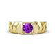 1 - Darius 0.87 ct Amethyst V Pattern Solitaire Men Band (6 mm) 