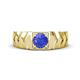 1 - Darius 0.92 ct Tanzanite V Pattern Solitaire Men Band (6 mm) 