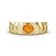 1 - Darius 0.87 ct Citrine V Pattern Solitaire Men Band (6 mm) 