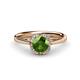 1 - Myrna Green Garnet and Diamond Halo Engagement Ring  