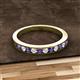 3 - Kathiryn 2.00 mm Iolite and Diamond 11 Stone Wedding Band 