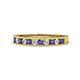 1 - Kathiryn 2.30 mm Iolite and Diamond 11 Stone Wedding Band 