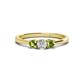 1 - Quyen 0.57 ctw (4.00 mm) Round Natural Diamond and Peridot Three Stone Engagement Ring  