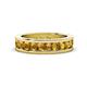 1 - Celina 3.40 mm Round Citrine Eternity Band 