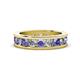 1 - Celina 3.40 mm Round Tanzanite and Diamond Eternity Band 