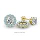 1 - Serena 0.53 ctw (2.00 mm) Round Aquamarine Jackets Earrings 