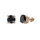 1 - Alina Black Diamond (5mm) Solitaire Stud Earrings 