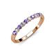 3 - Clara 2.70 mm Iolite and Diamond 10 Stone Wedding Band 