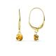 1 - Grania Citrine (4mm) Solitaire Dangling Earrings 