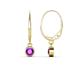 1 - Cara Amethyst (4mm) Solitaire Dangling Earrings 